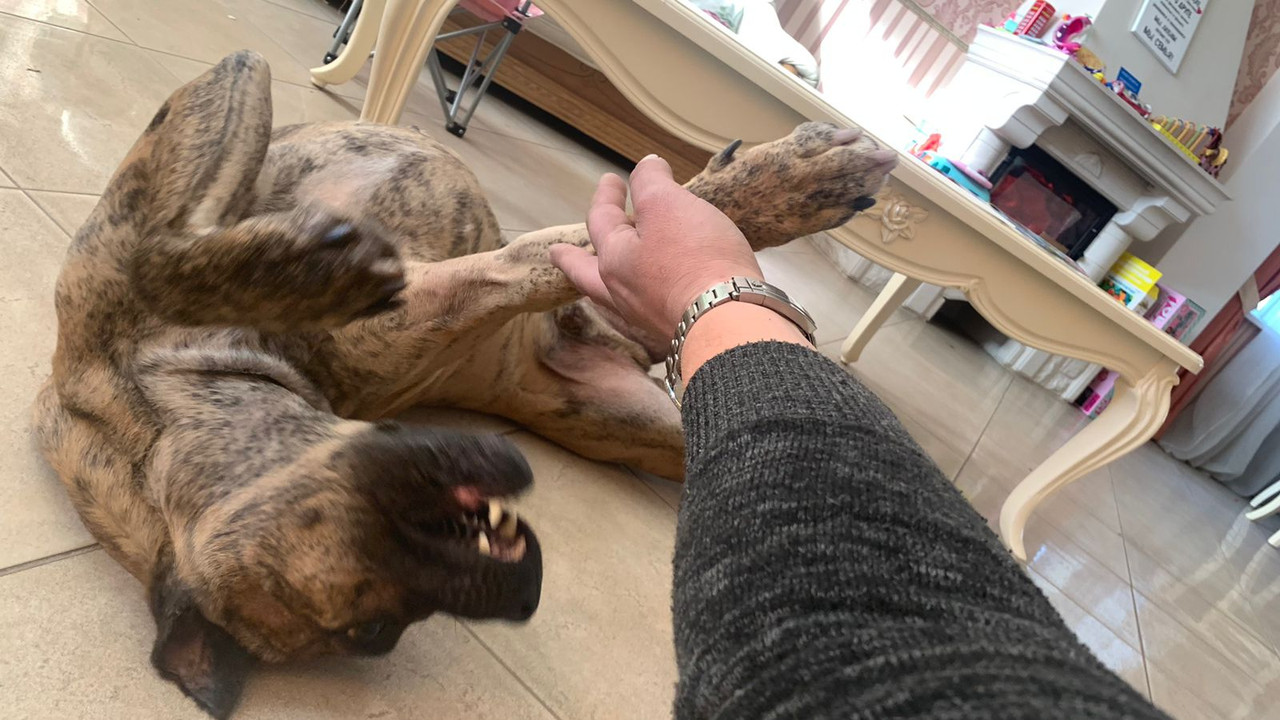 B21A1909-6934-4B7A-B6FA-A1C865591D67