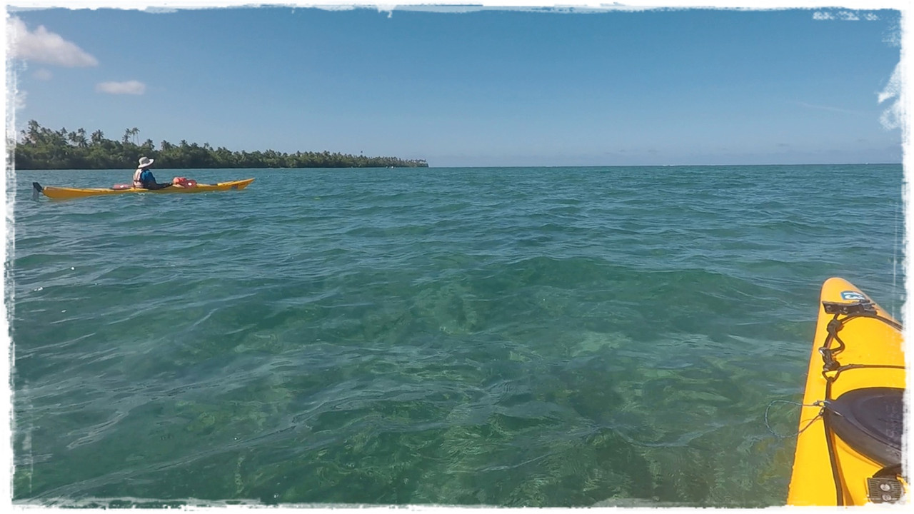 Talofa! Samoa, una perla en el Pacífico - Blogs de Samoa - Día 7. Upolu: kayak y costa sur (7)