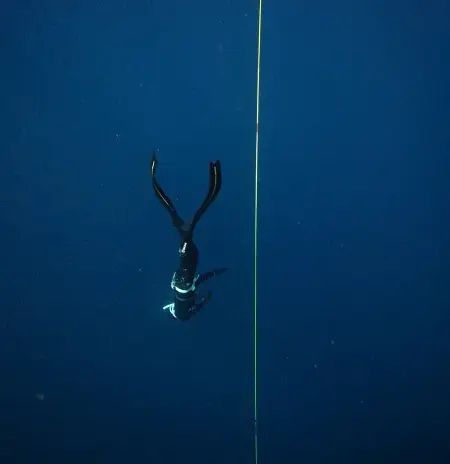 Фридайвинг на Филиппинах – курс в Freedive-Inn (Пуэрто-Галера) Фридайвинг на Филиппинах – курс в Freedive-Inn (Пуэрто-Галера)