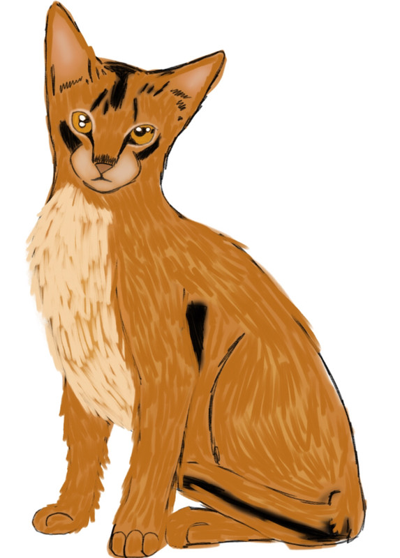 C2E02D23-E423-4289-B238-9B3032FA5E16