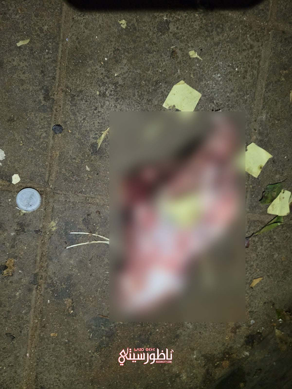 WhatsApp Image 2024-08-27 at 23.27.57 (5)