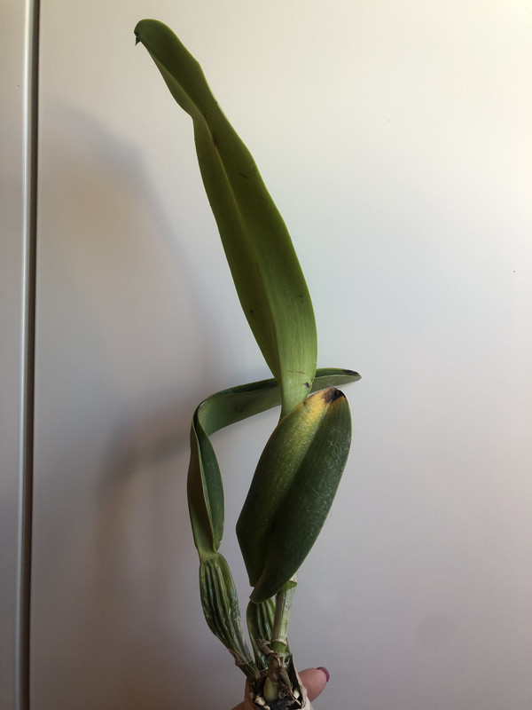 554765F2-86D8-4735-9DF0-70F2FF1A3F49