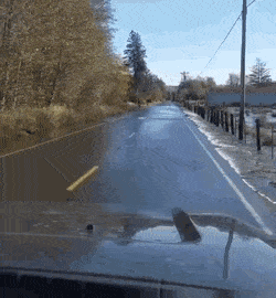 GIFs-19