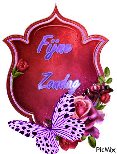 Bezoek mijn blog!