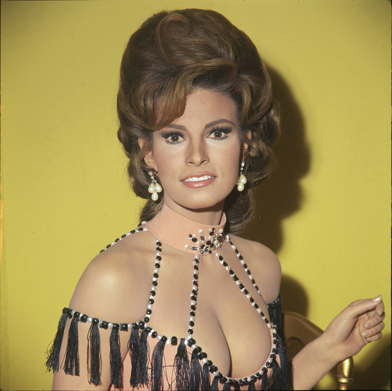 raquel_welch_d87