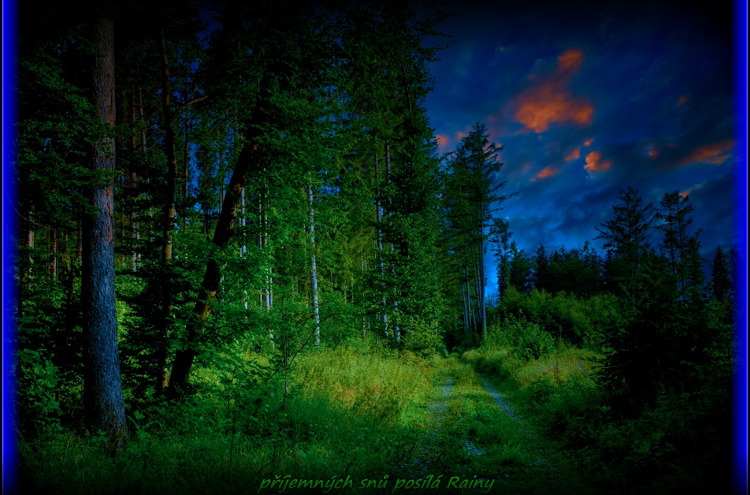 forest-path-5455708-1280.jpg