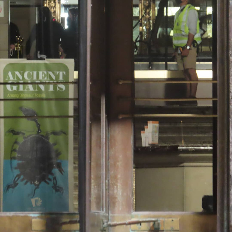 26-Transformers-Rise-Of-The-Beast-On-Set-NY-Museum-of-Archeology