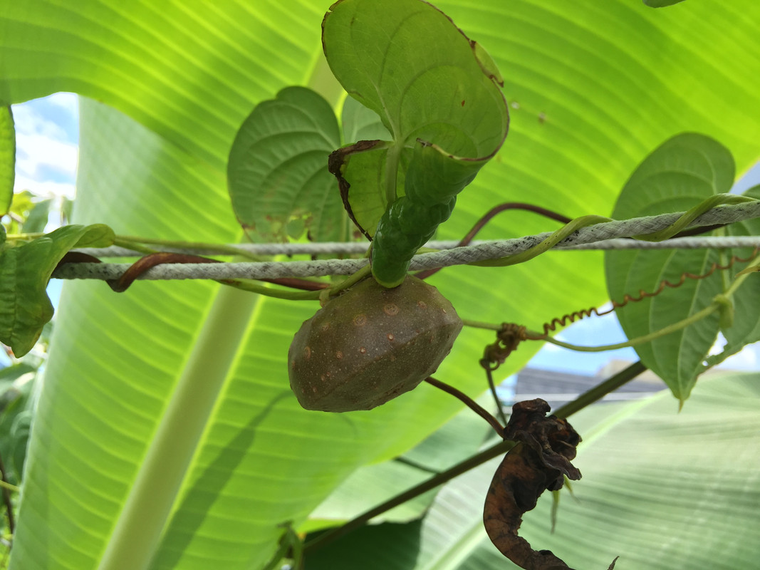 E71DE703-2671-42B9-A6F0-B86B15F97DA5