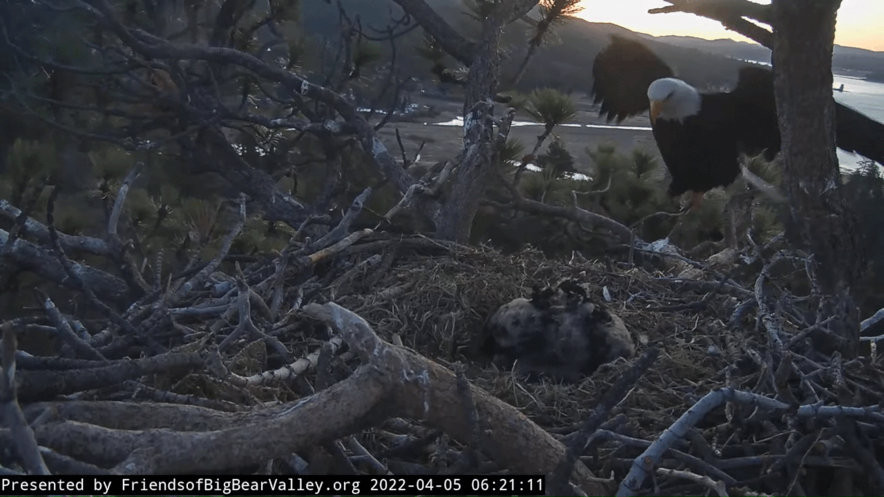 Webp.net-gifmaker (10)