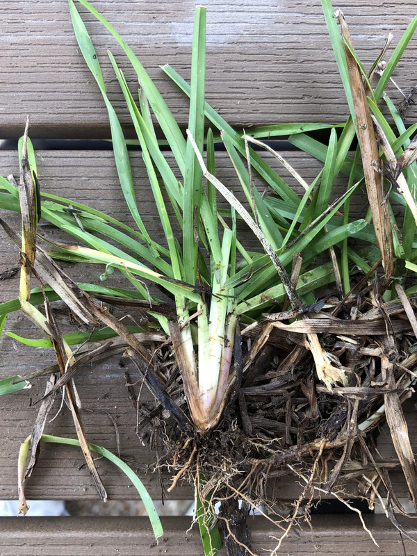 DC855F7B-1D05-4BA2-A401-C9E337FA44B5