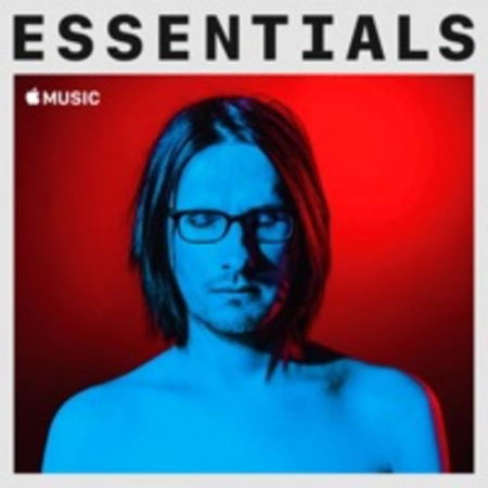 Steven Wilson - Essentials (2021)