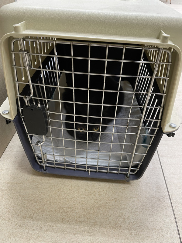 07157CB1-6512-4FB1-8B5A-976779DF8A25