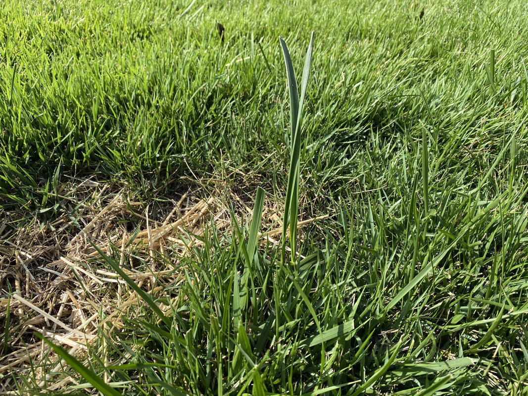 1893E80B-07C9-46BC-9655-8EE868876B84