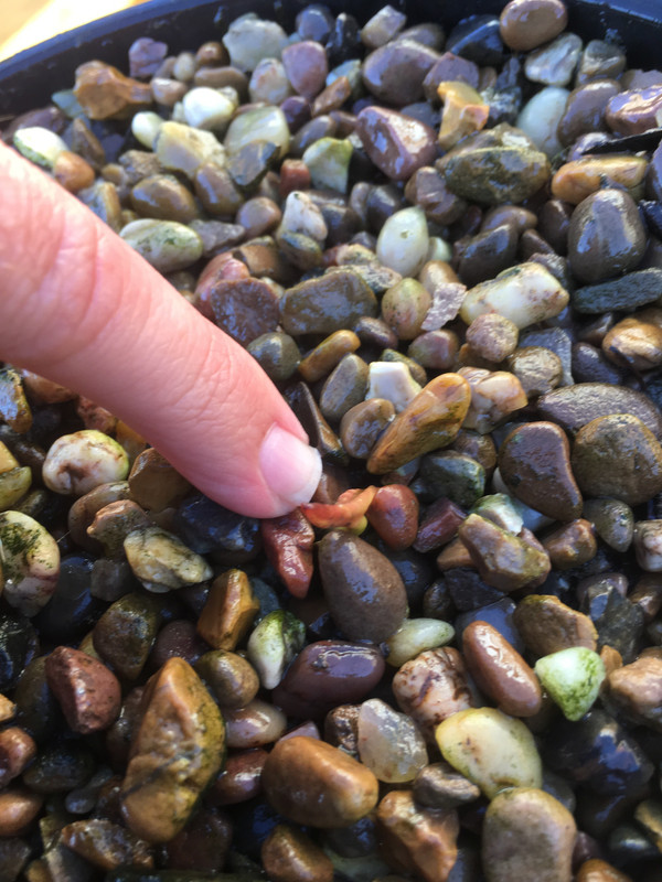 4F8607FB-0A40-4A16-BD57-66DFF85F5CA7