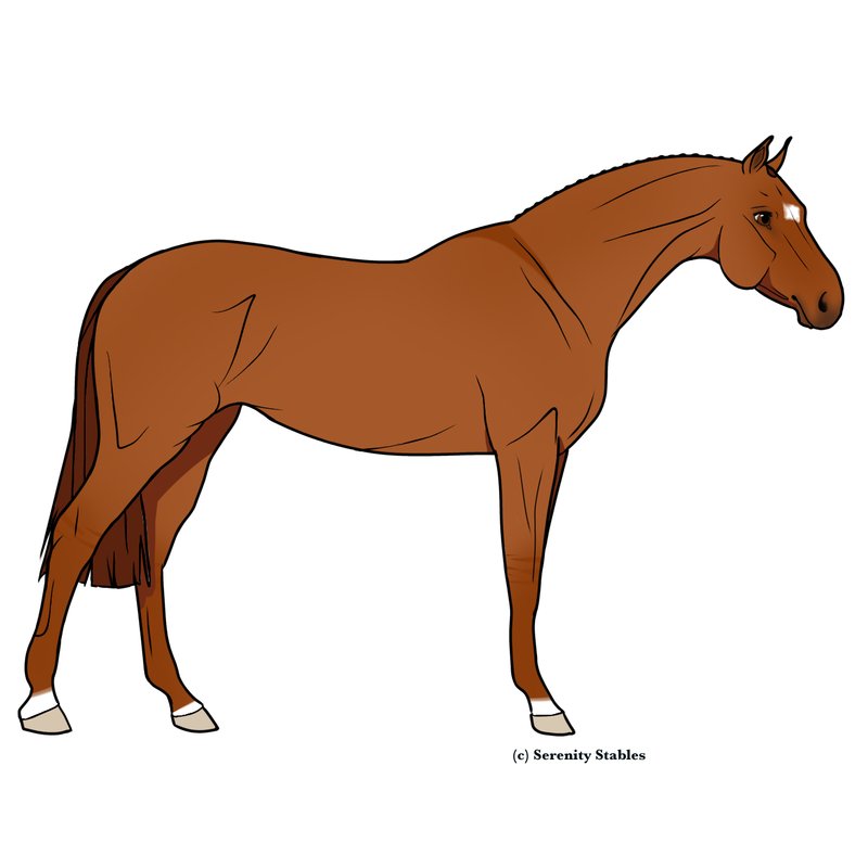 Untitled492-20240505153546.png