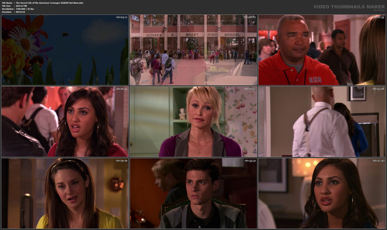 The Secret Life of the American Teenager S02E09 Hot Nuts.mkv