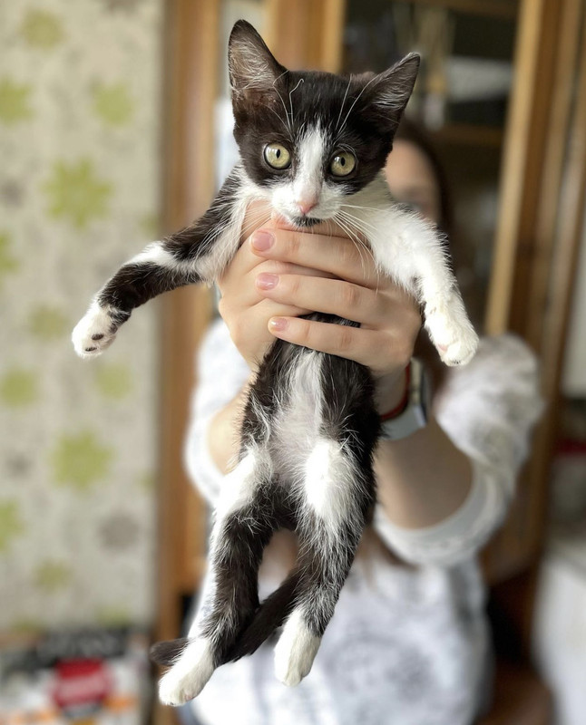 17D3BF1D-F4B3-4027-95CF-A188C1205B76