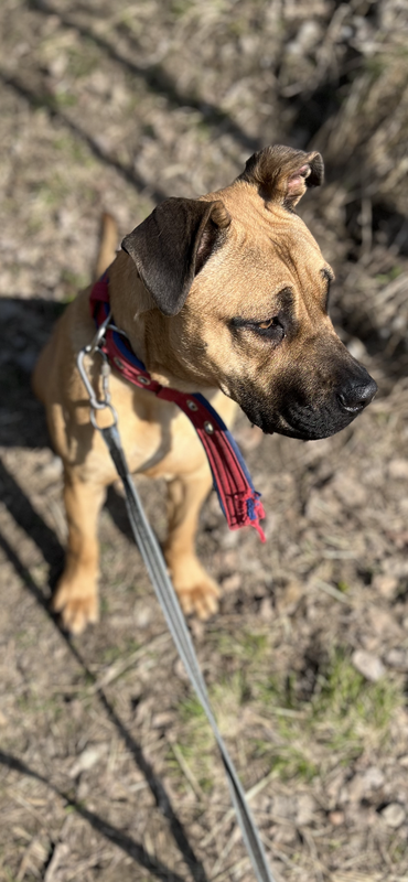 5F2DAD51-D26B-4C21-B5C6-77253E547A91