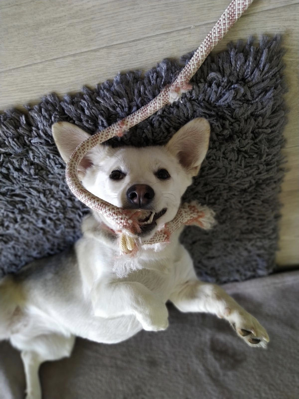 B67E1A01-AE05-45CA-BE5C-A111452754EF