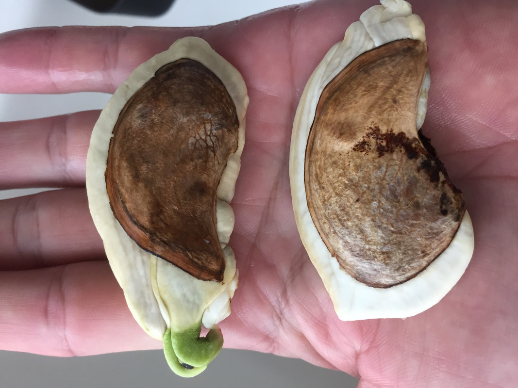 A1717304-4D6E-492E-8C66-84B4F80E40DC