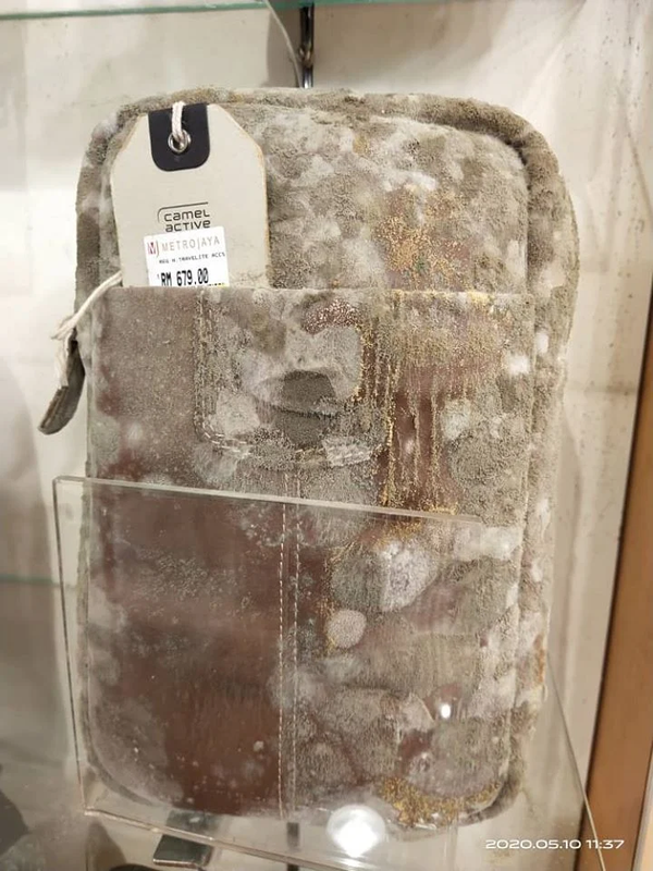 Tas penuh jamur.