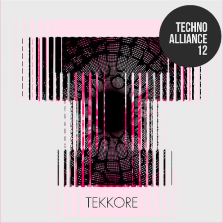 VA - Techno Alliance 12 (2020)