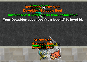poke-levelup-Dewpider-16-00-24-Mon-25-February-2019.png