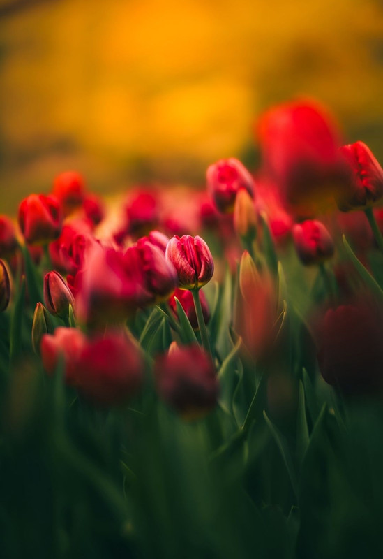 Screenshot_20240427_001536_Threads