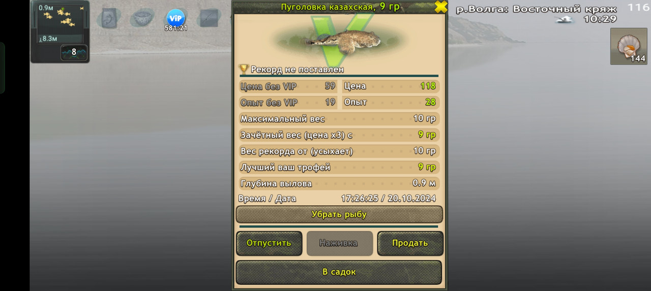 Screenshot-2024-10-20-17-26-29-46-fa28ee