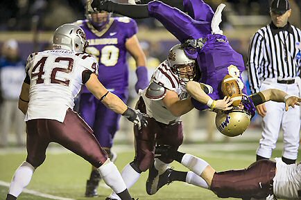 griz-jmu1.jpg