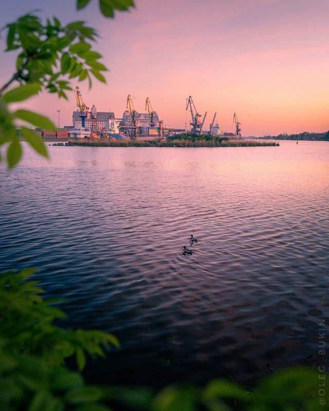 IMG_20231107_123230_553