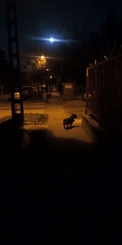 Kép