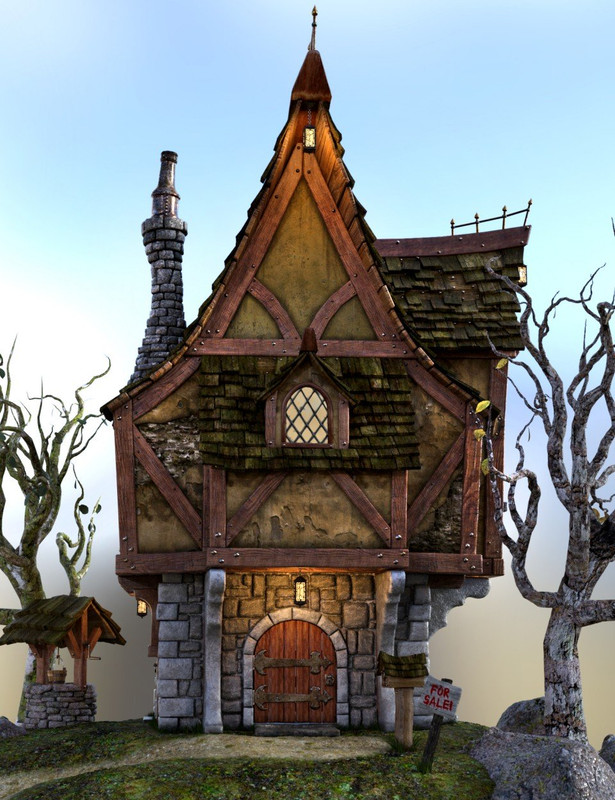 Old Crone's Home