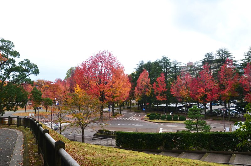 Kanazawa-15-11-2024 - Japón y sus Pueblos-2024 (52)