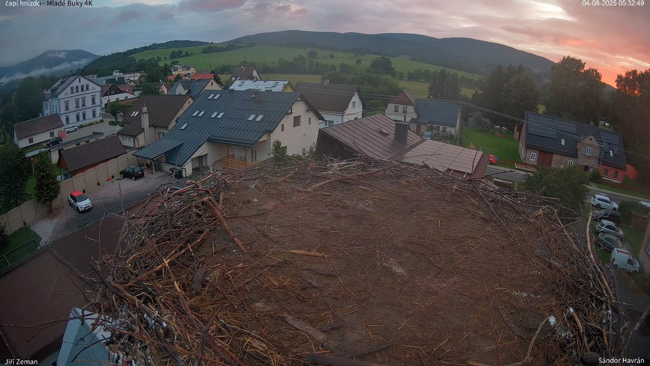 Živá kamera - Mladé Buky - čapí hnízdo 4K 7-15-14 screenshot