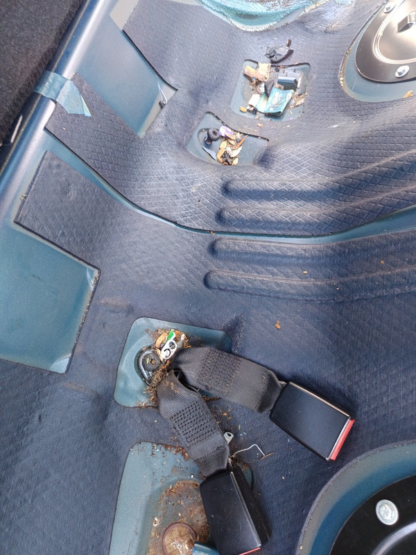 62 Asiento trasero