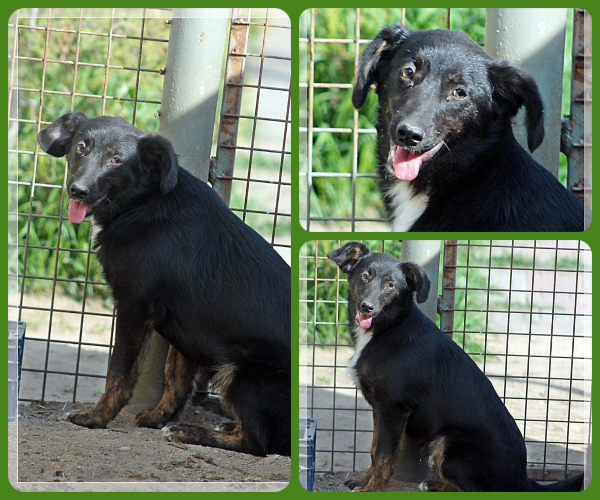 BeFunky-collage (17)