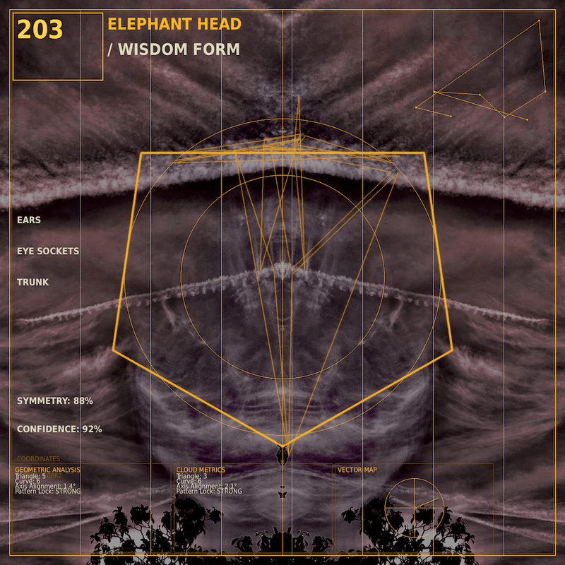 Elephant head