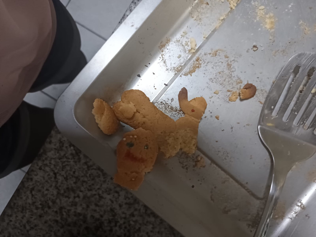 GINGERBRAVO DECAPITADO