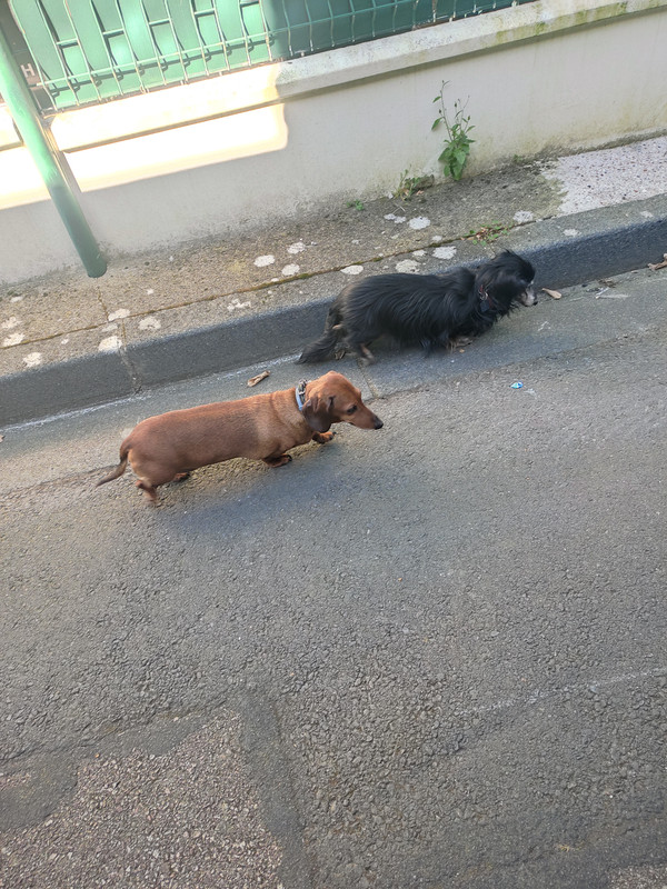 [Image: IMG-20250320-133645.jpg]