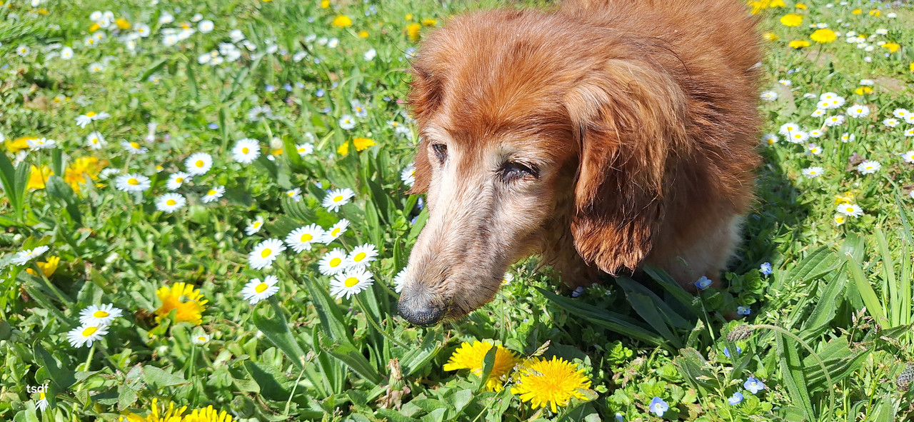 [Image: 20250408-121628.jpg]