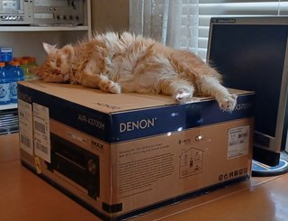 20220110-082338.jpg
