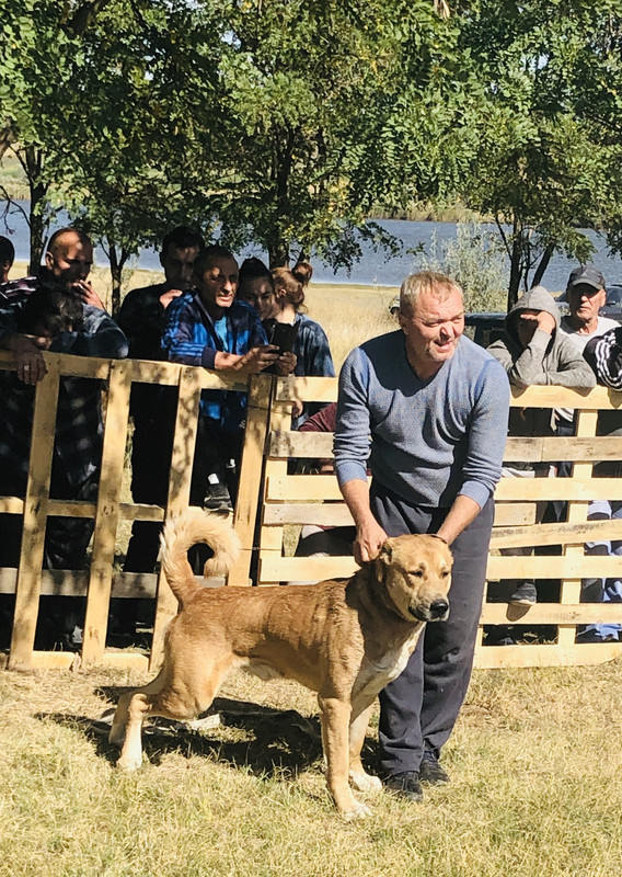 47ED1F10-E424-4A62-A104-CF96705B1043