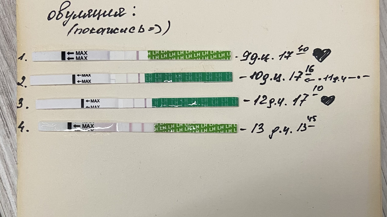 450222A9-8185-4E0B-9F88-6420C994E597