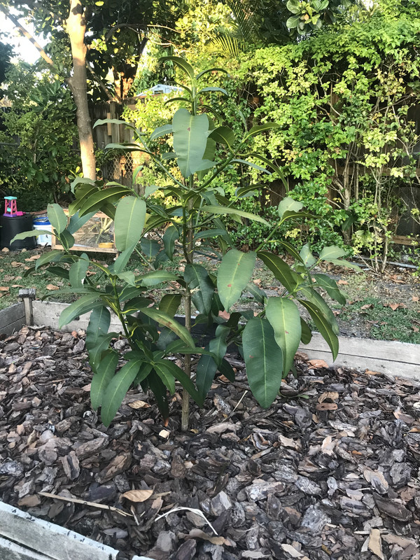 FA44CA0D-22AB-4182-A7AD-5AA480CA23E8