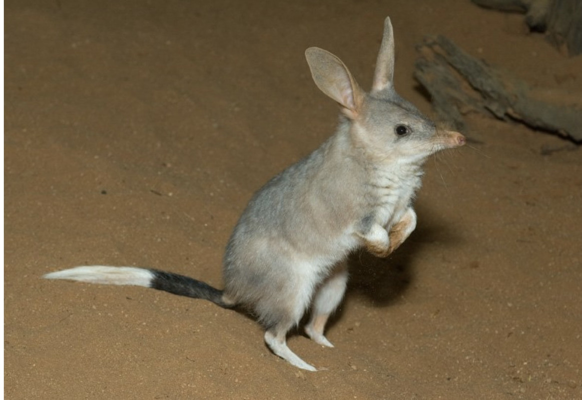 C126A437-8297-4652-8284-4A9F7BC6E00B