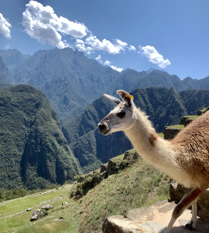 FE346767-4ABA-498C-9BC9-0AA725F1963F