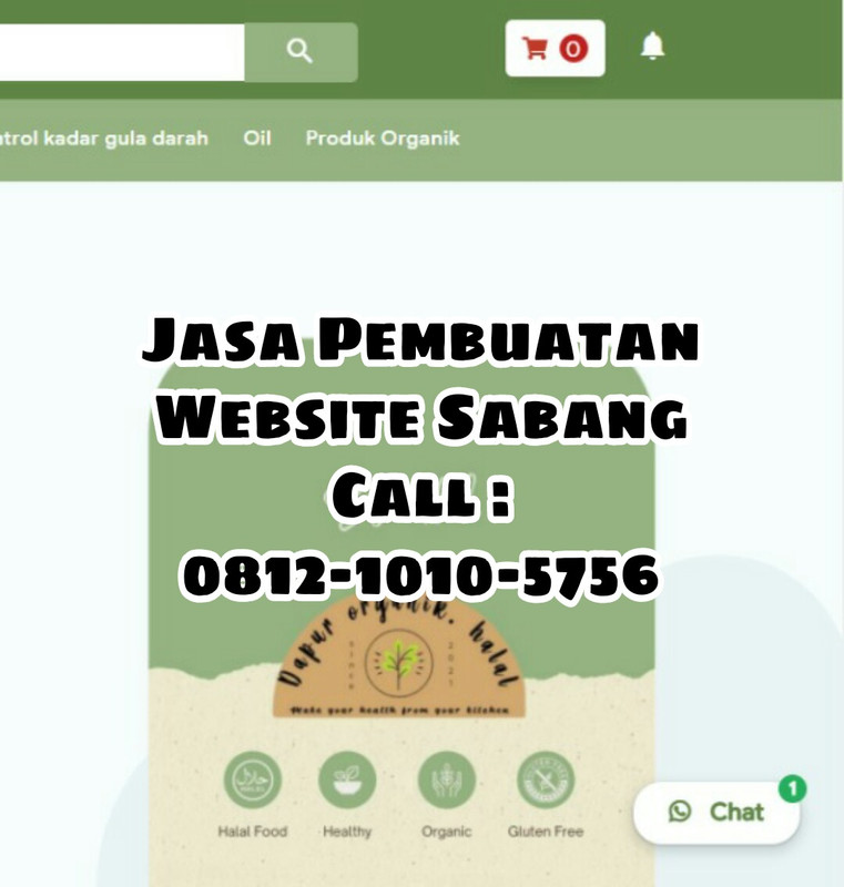 TELP: 0812-1010-5756, Jasa Pembuatan Website Adsense Lingga