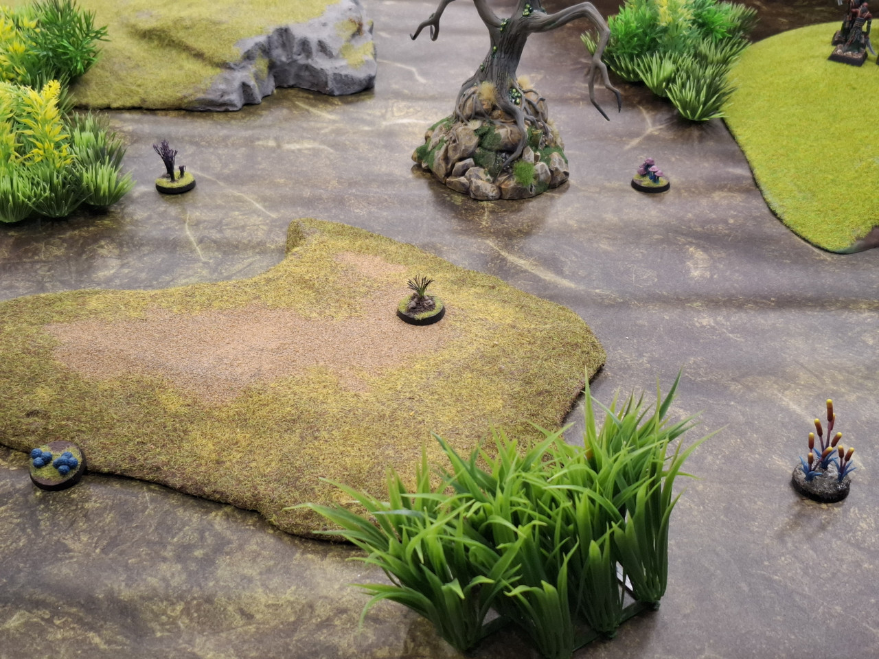 [Image: 20251122_143728.jpg]