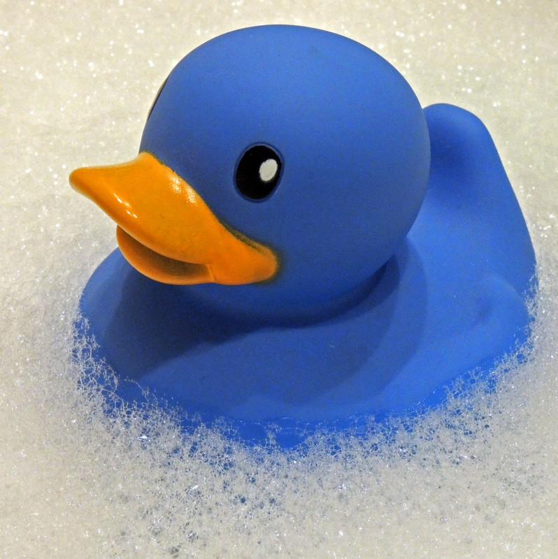 Bluerubber-Duck.jpg